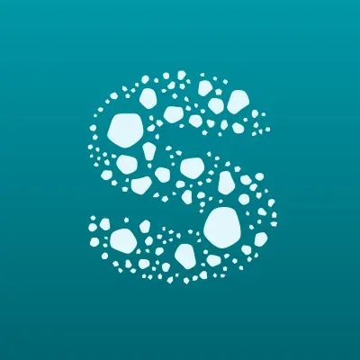 Skysend, терминал, ООО СкайСенд, лого-визитка